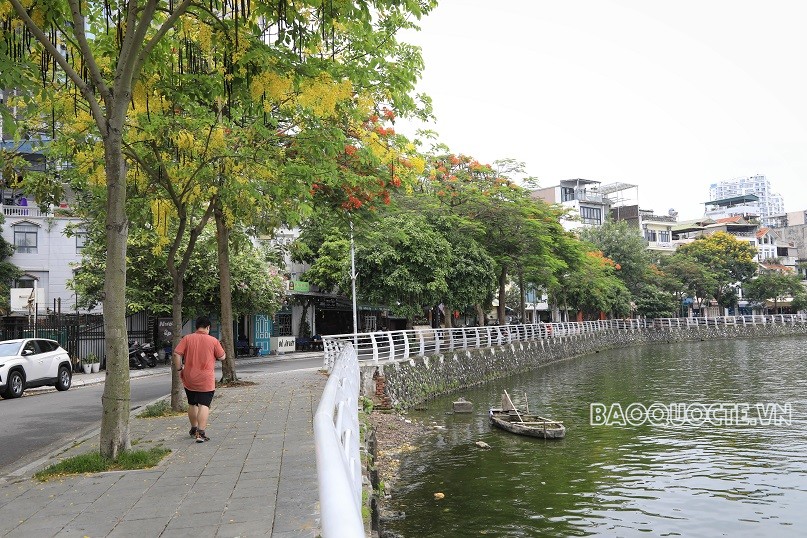 Những sắc hoa Hồ Tây...