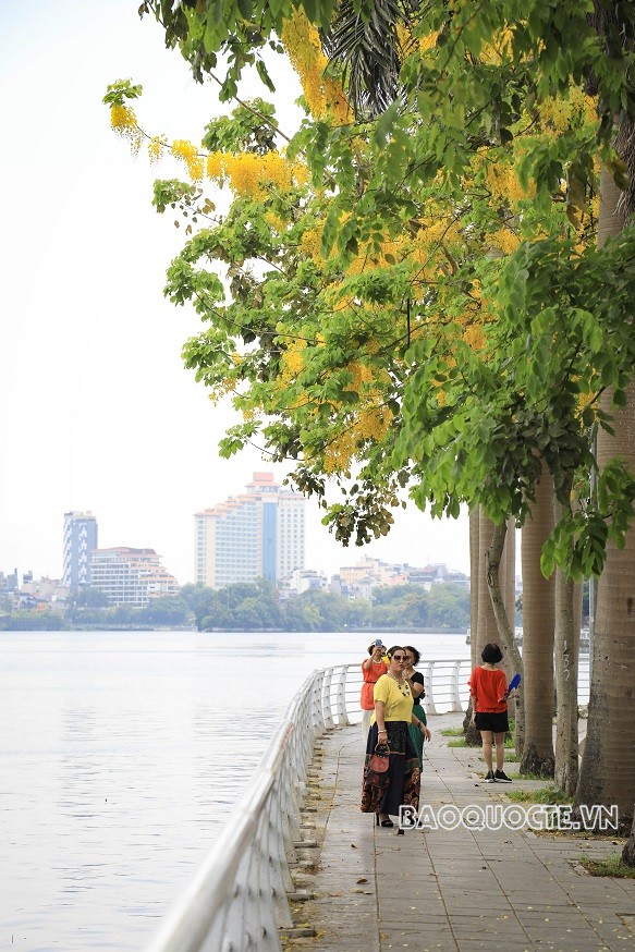 Những sắc hoa Hồ Tây...