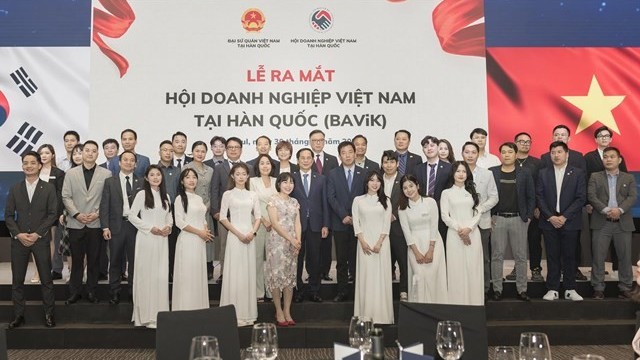 FM Bui Thanh Son attends launch of Vietnamese Business Association in RoK