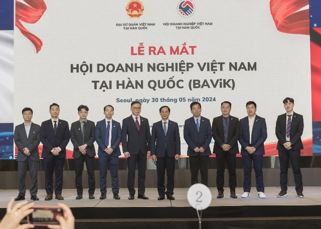 FM Bui Thanh Son attends launch of Vietnamese Business Association in RoK