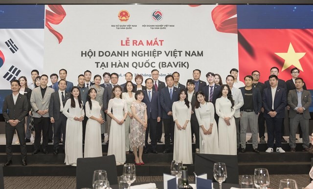 FM Bui Thanh Son attends launch of Vietnamese Business Association in RoK
