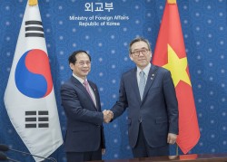 Thúc đẩy quan hệ Việt Nam-Hàn Quốc phát triển thực chất, toàn diện và lâu dài
