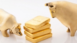 Giá vàng hôm nay 2/6/2024, Giá vàng SJC cắm đầu lao dốc, ngược chiều thế giới, nhà đầu tư nhìn thấy lợi nhuận, tăng ‘ôm hàng’