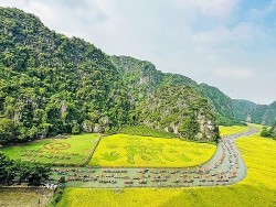 Tuần Du lịch Ninh Bình 2024: Nhuộm sắc vàng Tam Cốc - Tràng An
