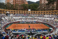 Colombia cấm đấu bò tót, bảo vệ sự sống hài hòa với thiên nhiên