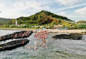 Over 600 athletes compete in Ly Son Cross Island swimming competition