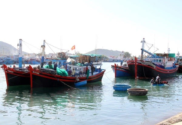 Tàu đánh bắt cá neo đậu ở cảng cá Ninh Chữ, huyện Ninh Hải, tỉnh Ninh Thuận. (Nguồn: TTXVN)
