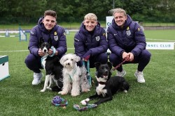 Dàn sao tuyển Anh tham gia cuộc thi vui nhộn với thú cưng trước Euro 2024