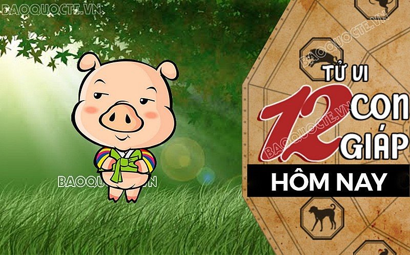 Tử vi hôm nay, xem tử vi 12 con giáp hôm nay ngày 28/8/2026: