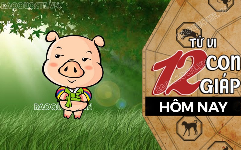 Tử vi hôm nay, xem tử vi 12 con giáp hôm nay ngày 1/9/2025: Tuổi Hợi công việc quyết đoán Tử vi hôm nay, xem tử vi 12 con giáp hôm nay ngày 1/9/2025: Tuổi Hợi công việc quyết đoán