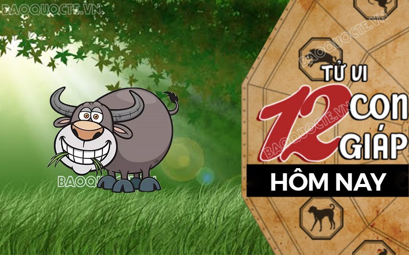 Tử vi hôm nay, xem tử vi 12 con giáp hôm nay ngày 5/9/2025: Tuổi Sửu phát triển tài chính Tử vi hôm nay, xem tử vi 12 con giáp hôm nay ngày 5/9/2025: Tuổi Sửu phát triển tài chính