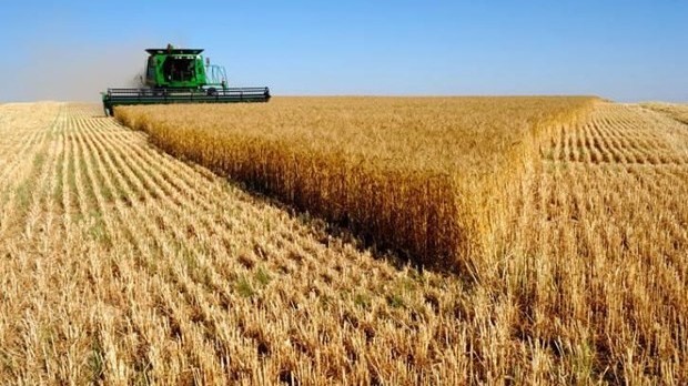 Thời tiết bất lợi, Nga khẳng định đáp ứng các cam kết về xuất khẩu ngũ cốc