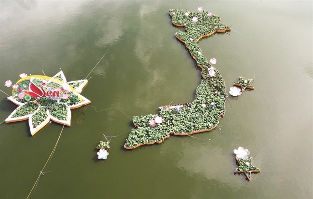 Nation mapped out with lotus pots in Dong Thap