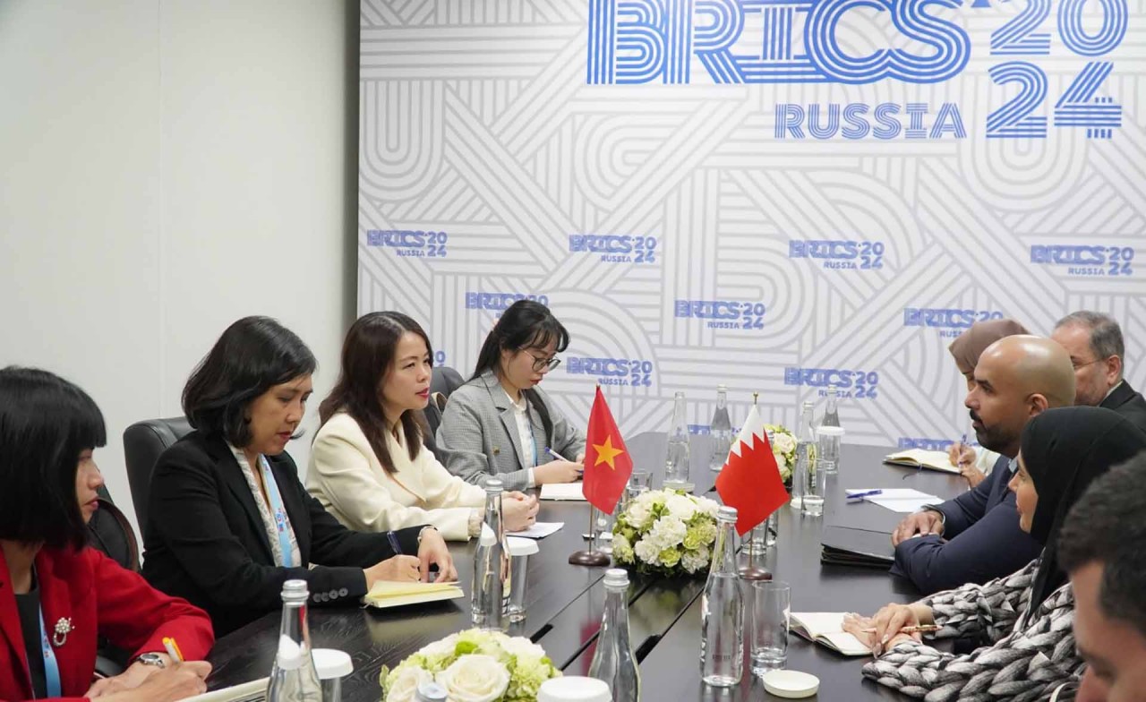 Vietnam attends BRICS Dialogue with Developing Countries in Russia’s Nizhny Novgorod: Deputy FM