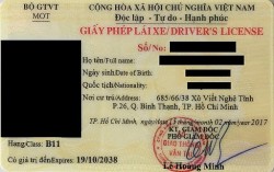 Giấy phép lái xe B1 và B11 khác nhau thế nào?