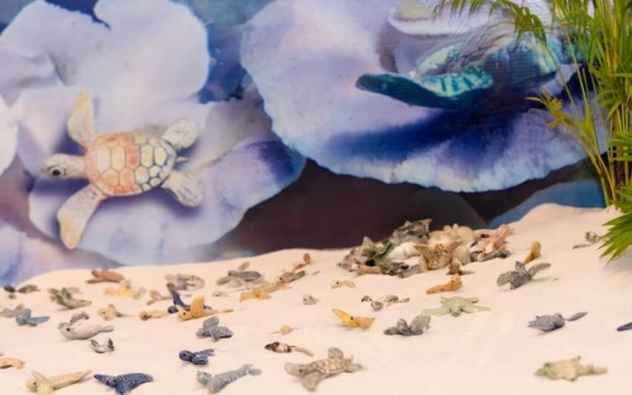 Chiêm ngưỡng 1.001 rùa biển bằng gốm độc đáo được nặn hoàn toàn bằng tay