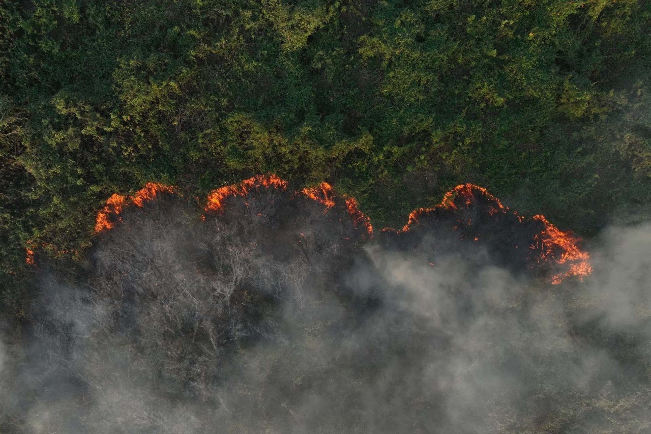 Cháy rừng thiêu rụi vùng đất ngập nước lớn nhất thế giới ở Brazil