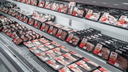 Giá heo hơi hôm nay 18/6: Giá heo hơi giảm nhẹ; Trung Quốc công bố điều tra chống bán phá giá thịt lợn nhập khẩu từ EU