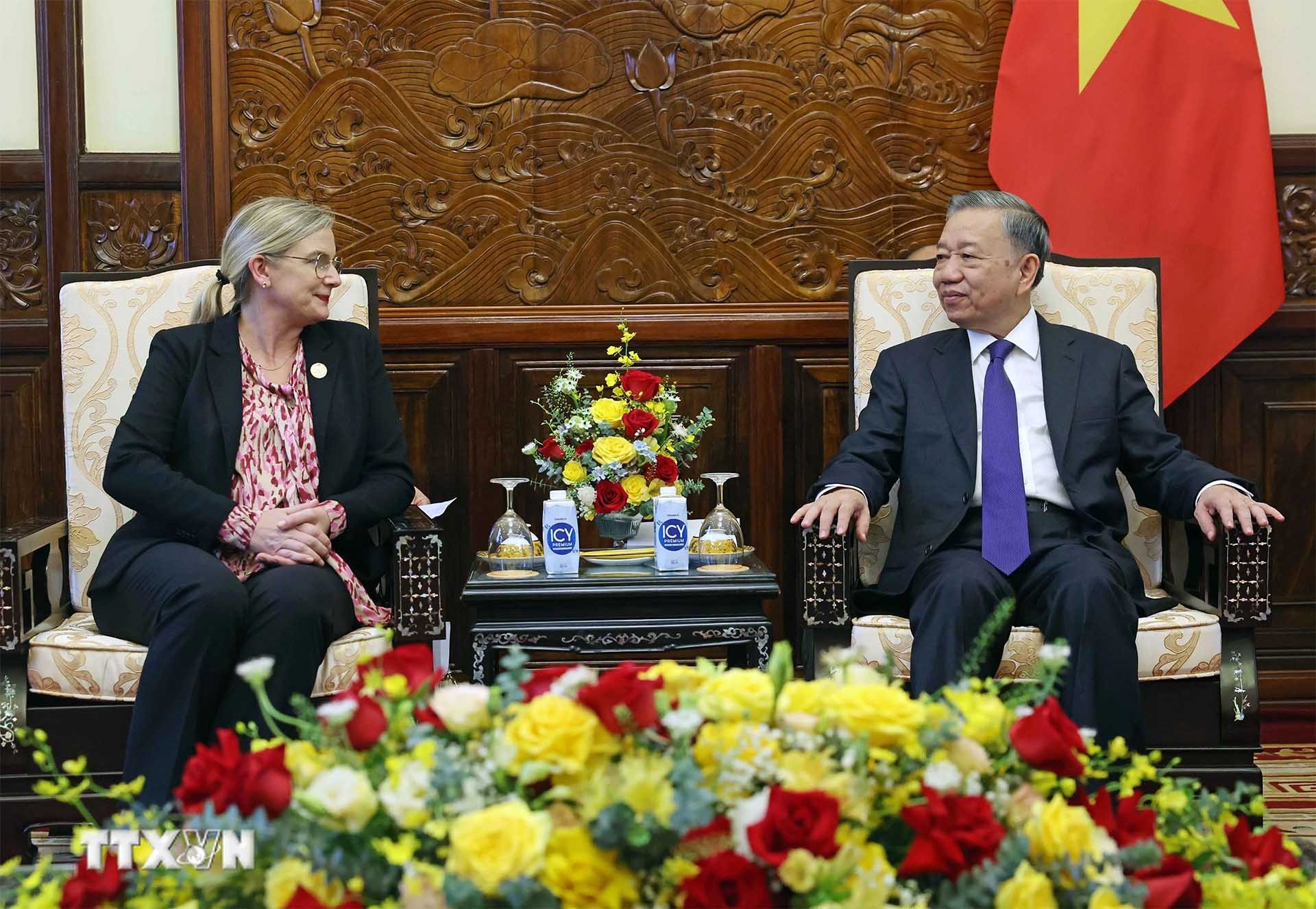 Chủ tịch nước Tô Lâm tiếp Đại sứ Thuỵ Điển Ann Mawe đến chào từ biệt. (Nguồn: TTXVN)
