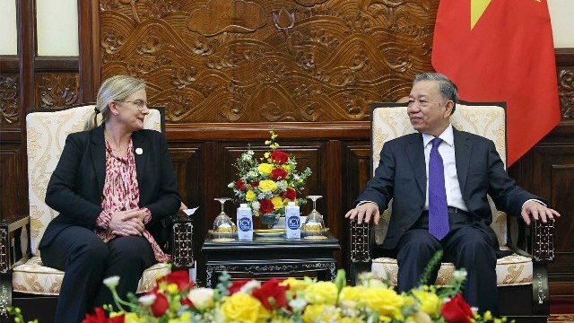 President To Lam receives outgoing Swedish Ambassador Ann Mawe