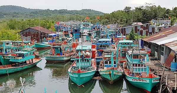 Kien Giang pushing back illegal fishing