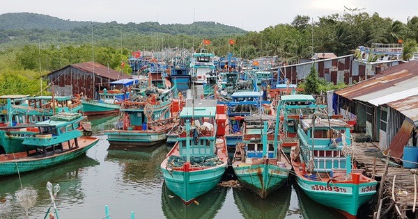 A raft of solutions have been put in place in Kien Giang province to fight illegal fishing. (Source: VNA)
