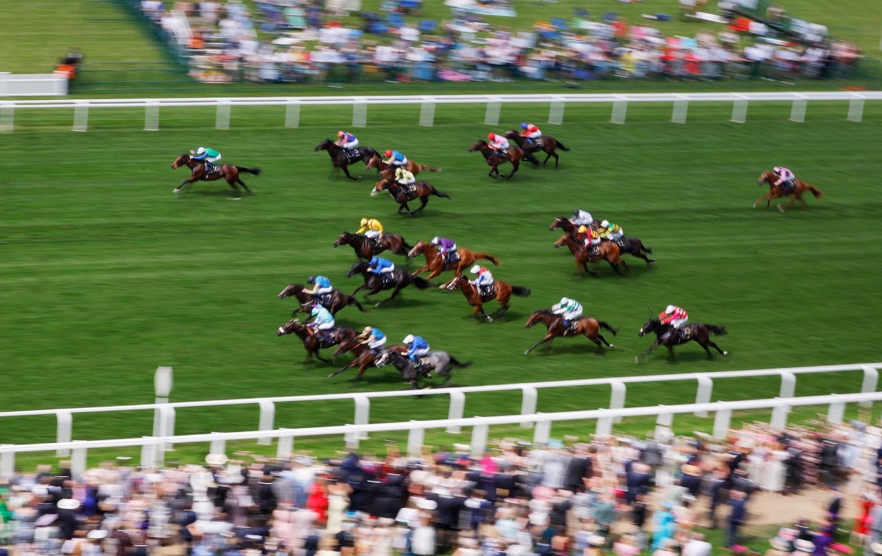 Royal Ascot 2024: Những chiếc mũ có một không 2 tại lễ đua ngựa thường niên của Hoàng gia Anh