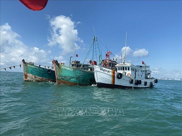 Quang Tri to launch peak campaign to combat IUU fishing: MARD