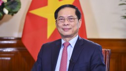 Bộ trưởng Bùi Thanh Sơn: Chuyến thăm của Tổng thống Vladimir Putin tạo xung lực mới cho hợp tác nhiều mặt Việt-Nga