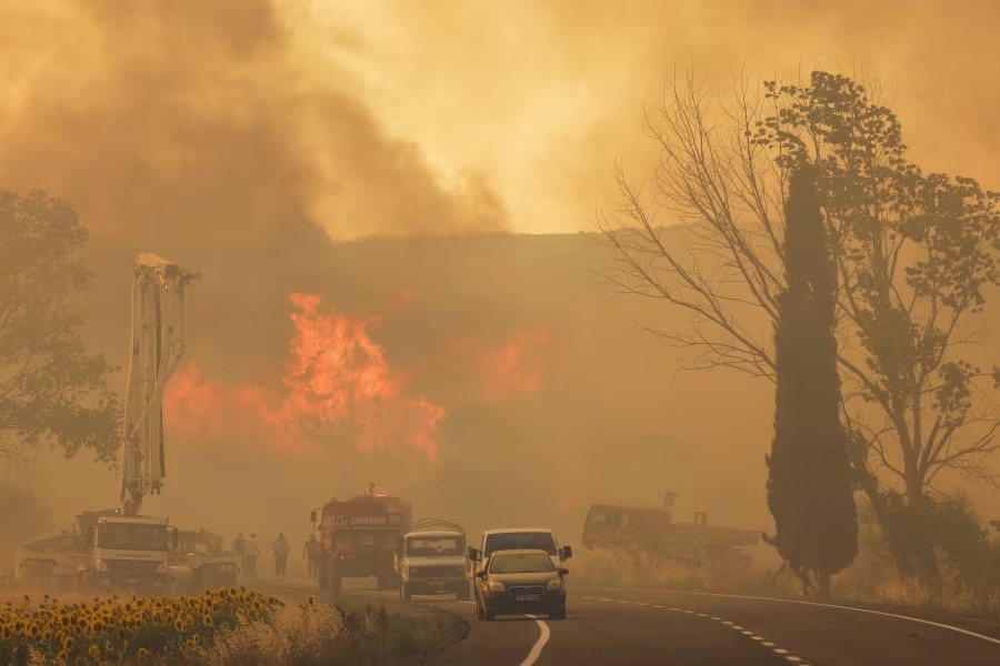 Cháy rừng tại Hy Lạp và Thổ Nhĩ Kỳ gây thiệt hại nặng nề
