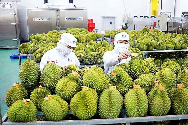 Fruit and vegetable exports gross 3.4 billion USD in first half