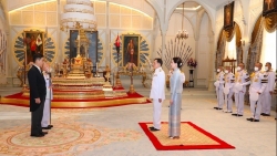 Đại sứ Phạm Việt Hùng trình Thư ủy nhiệm lên Nhà vua Thái Lan