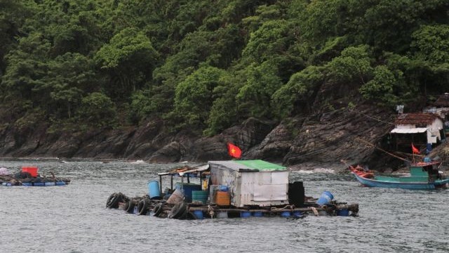 Ca Mau Province to establish marine reserve