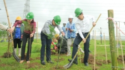 Trồng cây xanh là nội dung quan trọng trong quá trình phát triển của PetroVietnam