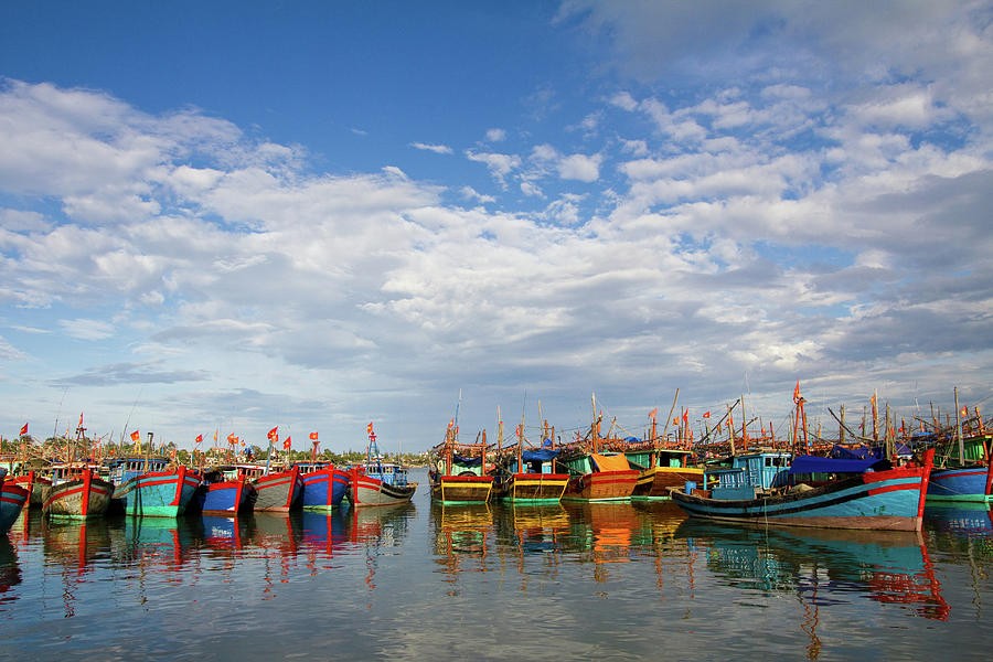 Expert commends Vietnam’s efforts in IUU fishing combat