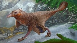 Argentina phát hiện hóa thạch khủng long ăn thịt niên đại 83 triệu năm
