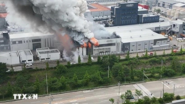 No Vietnamese reported injured or dead in RoK’s battery plant fire: Embassy