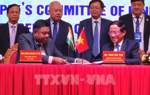 Binh Dinh promotes investment, trade, tourism ties with India