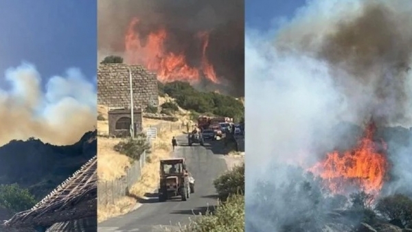 Cháy rừng bùng phát tàn phá di tích cổ ở phía Tây Thổ Nhĩ Kỳ
