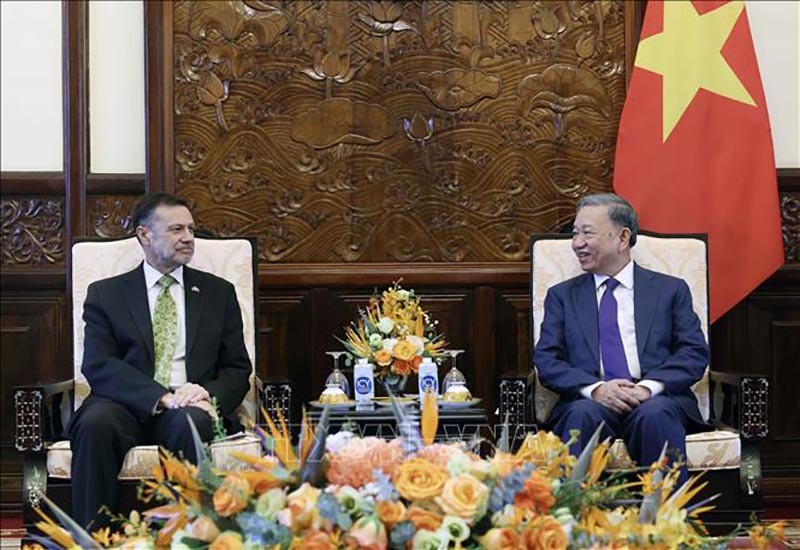 Chủ tịch nước Tô Lâm  tiếp Đại sứ Australia tại Việt Nam Andrew Goledzinowski