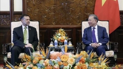 Chủ tịch nước Tô Lâm  tiếp Đại sứ Australia tại Việt Nam