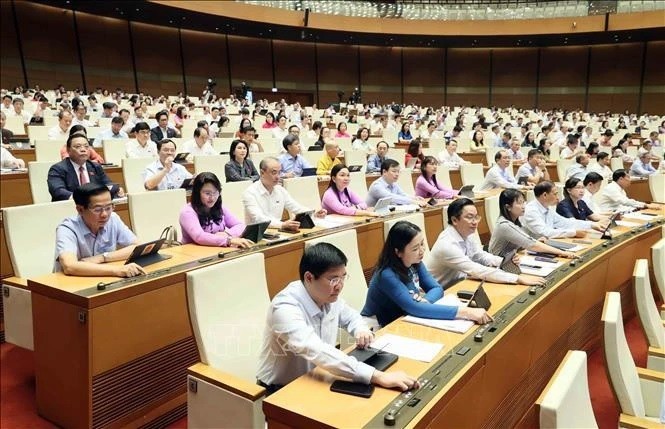 National Assembly deputies adopt Capital Law (revised)