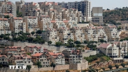 Tình báo Ai Cập và Hamas bàn ngừng bắn tại Dải Gaza, EU tố Israel mở rộng các khu định cư bất hợp pháp