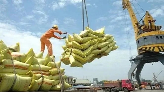Vietnam earns 2.98 billion USD from rice exports in H1: MARD
