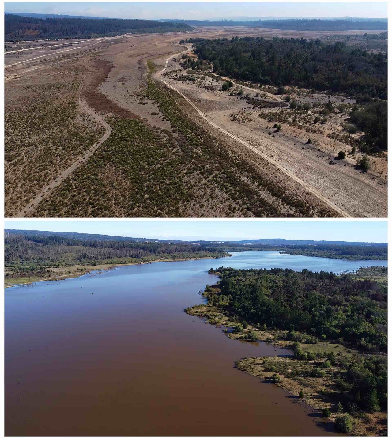 Các hồ khô cạn ở Chile ‘hồi sinh’ sau những trận mưa như trút nước