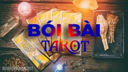 Bài tarot hôm nay 14/7: Đối với bạn, tiền hay tình quan trọng hơn?