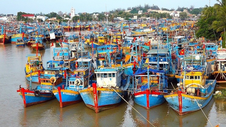 Binh Thuan focuses on halting IUU fishing