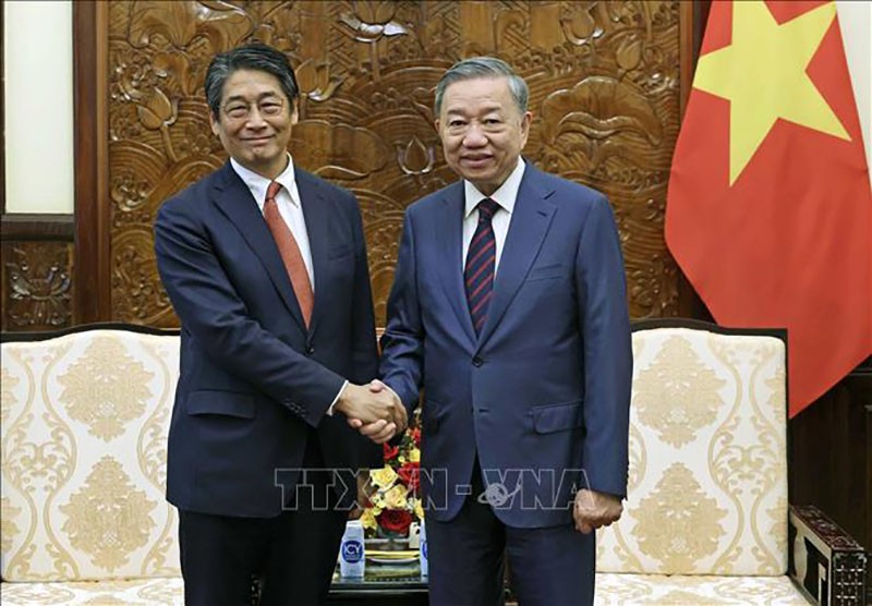 Chủ tịch nước Tô Lâm tiếp Đại sứ Nhật Bản tại Việt Nam Ito Naoki. (Nguồn: TTXVN)