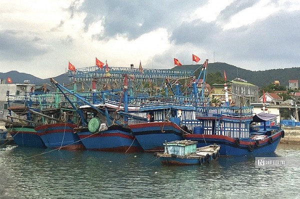 Quang Ninh requests registration of nearly 1,500 fishing vessels