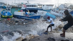 Khu vực Caribe 'oằn mình' chống chịu siêu bão Beryl, cảnh báo khẩn về tình trạng biến đổi khí hậu
